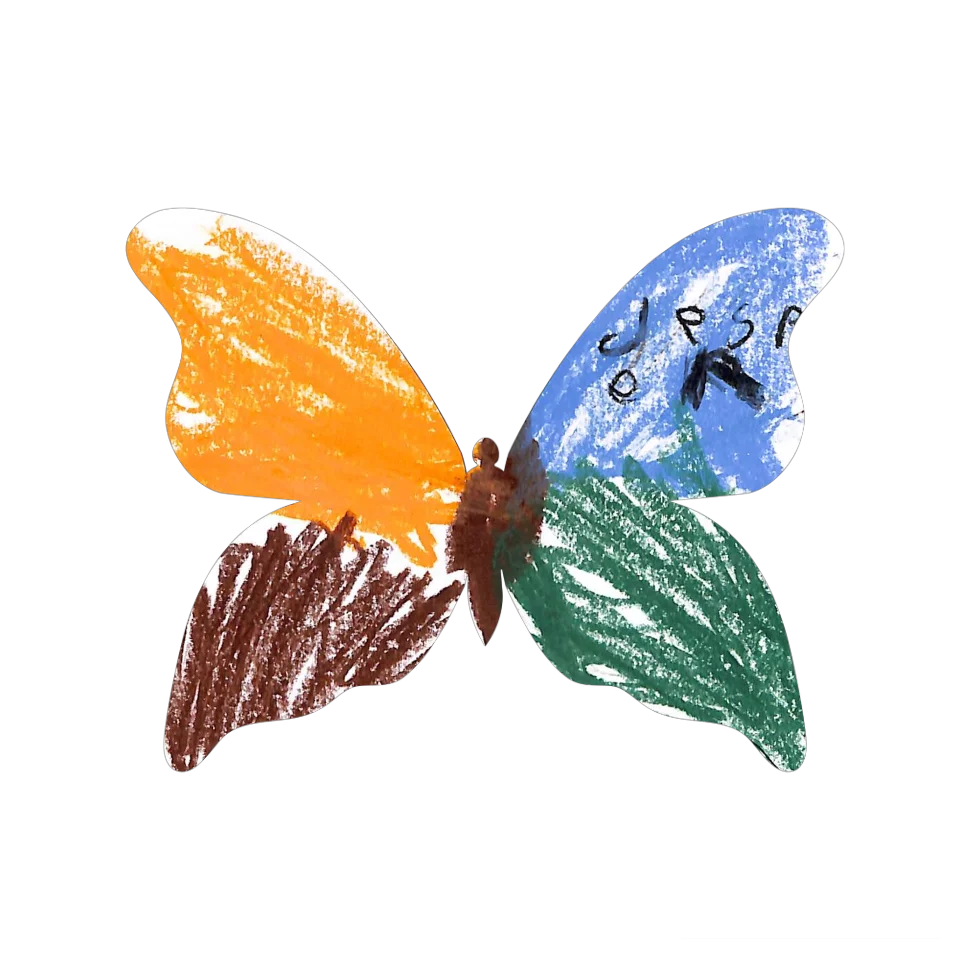 Original Butterfly Image