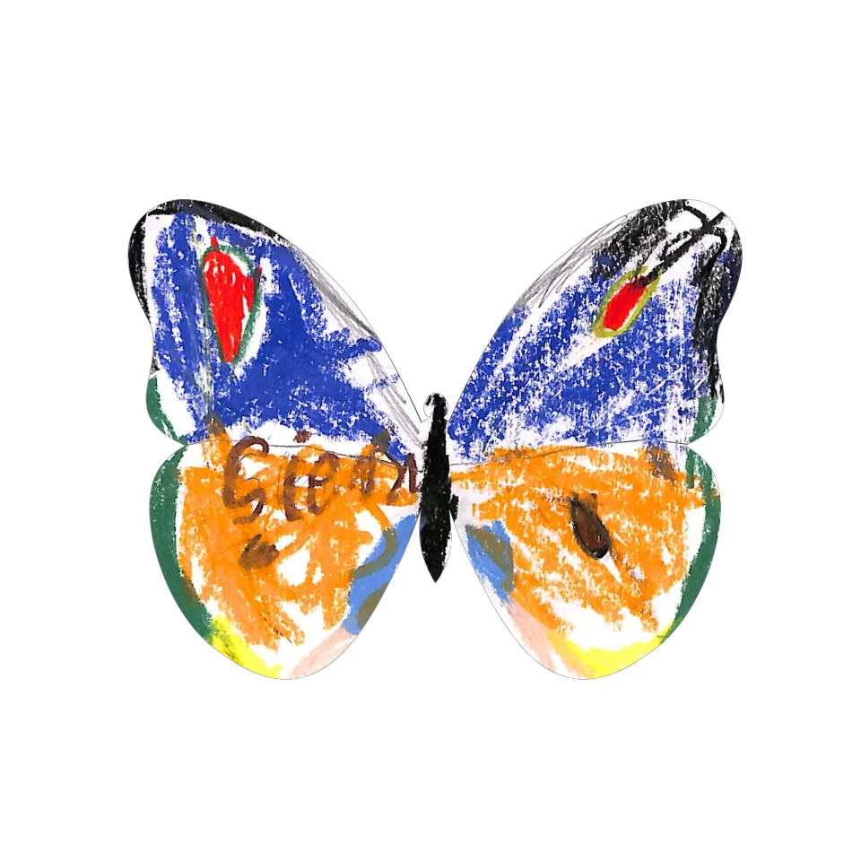 Original Butterfly Image