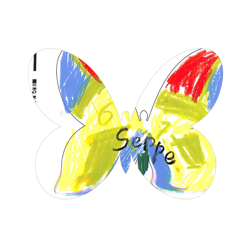 Original Butterfly Image
