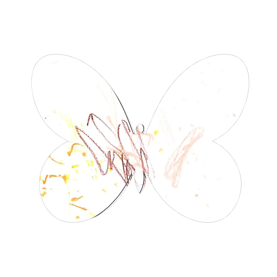Original Butterfly Image