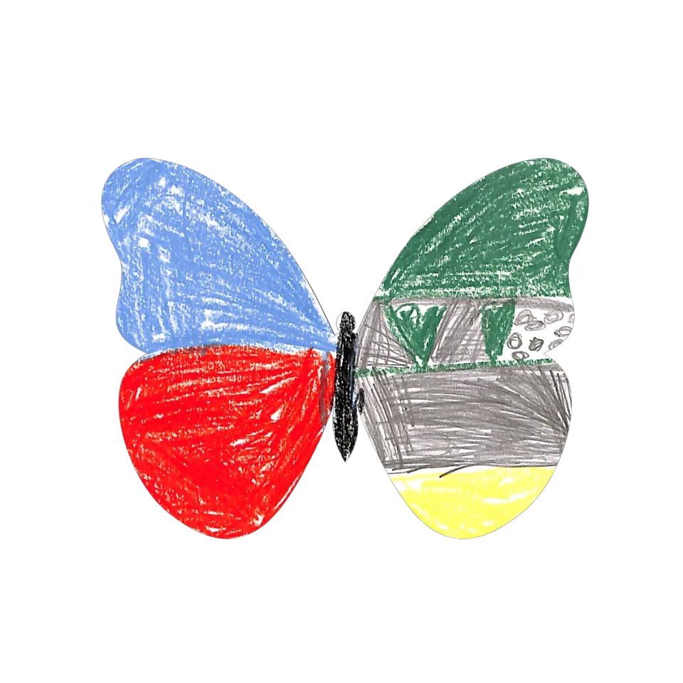 Original Butterfly Image