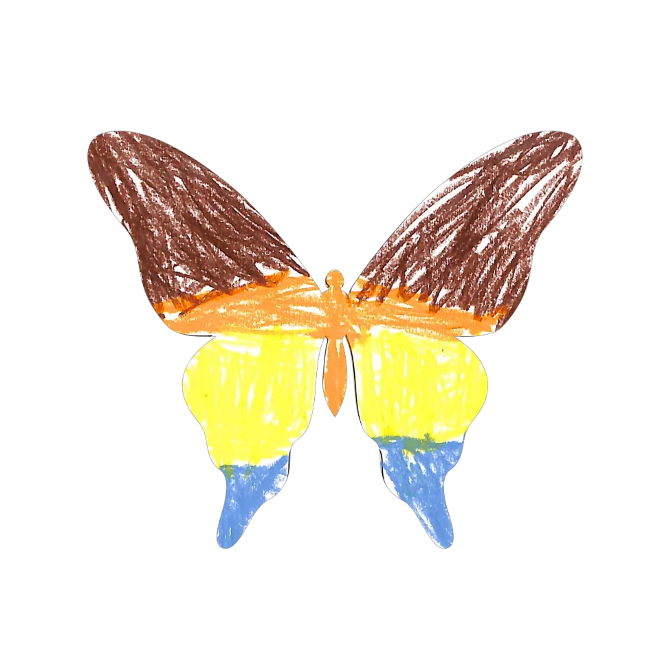 Original Butterfly Image