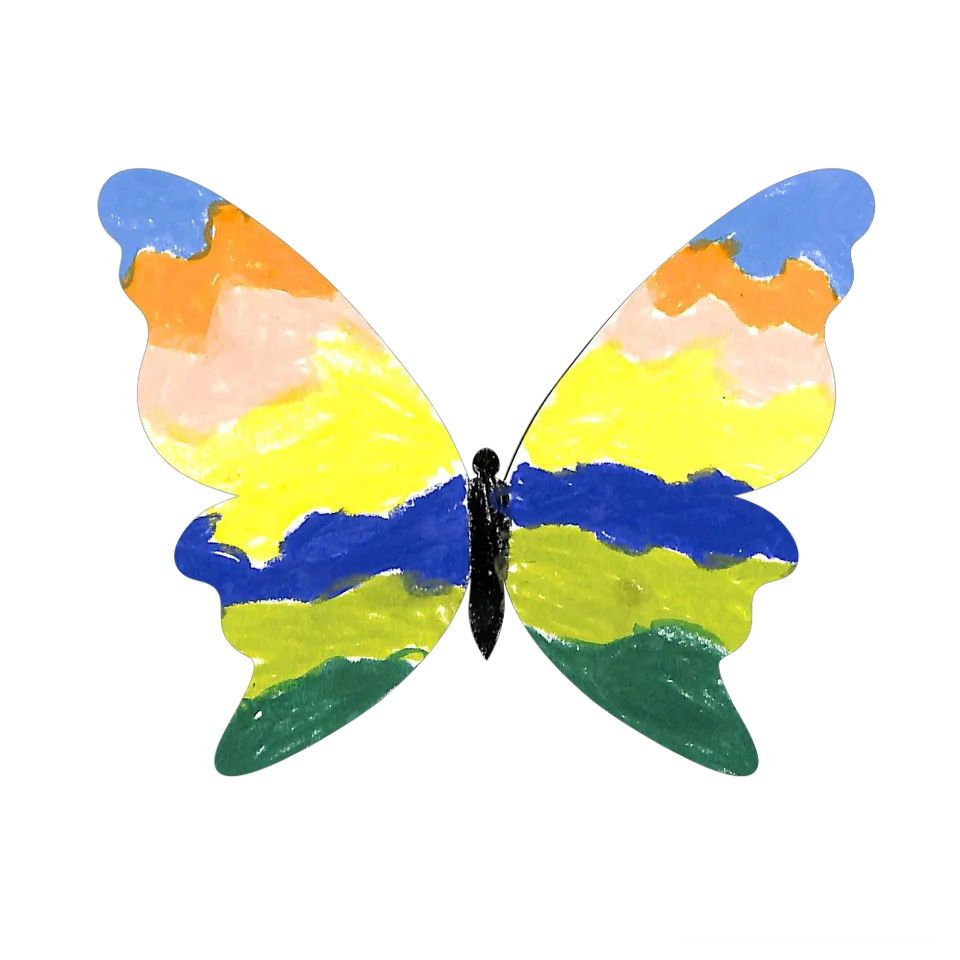 Original Butterfly Image