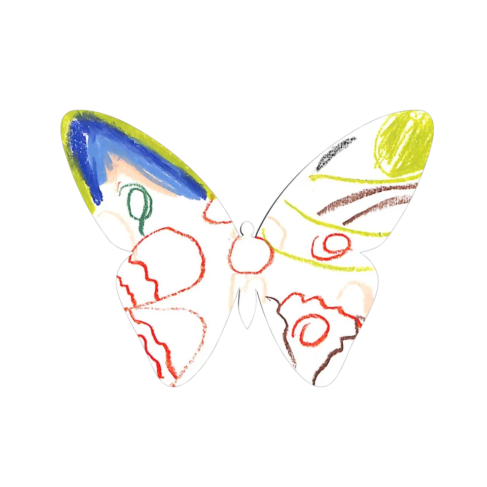 Original Butterfly Image