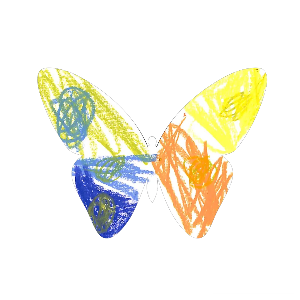 Original Butterfly Image