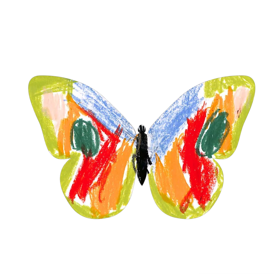 Original Butterfly Image