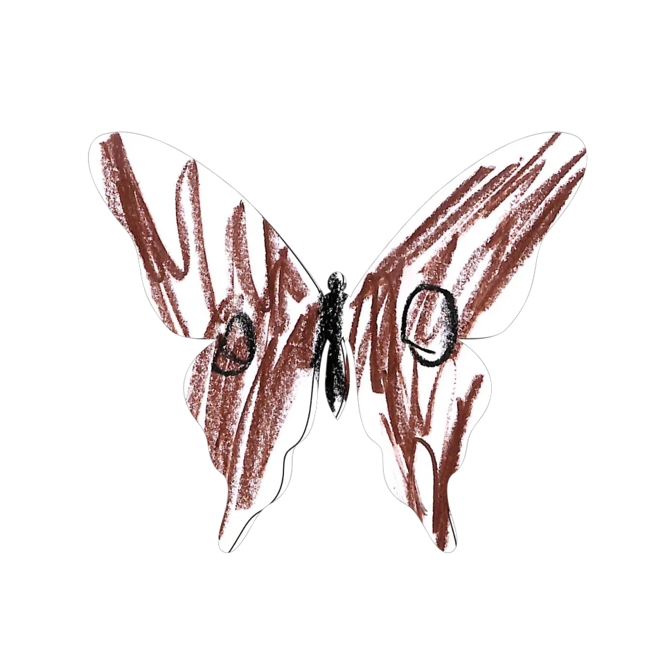 Original Butterfly Image