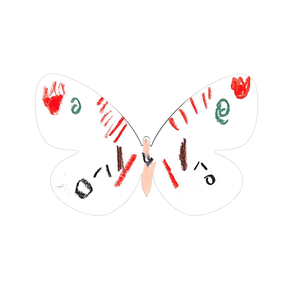 Original Butterfly Image