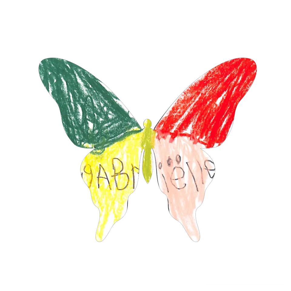 Original Butterfly Image