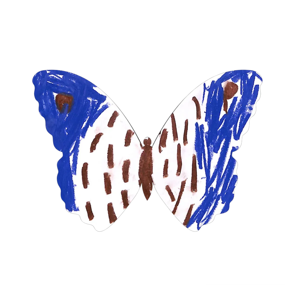 Original Butterfly Image
