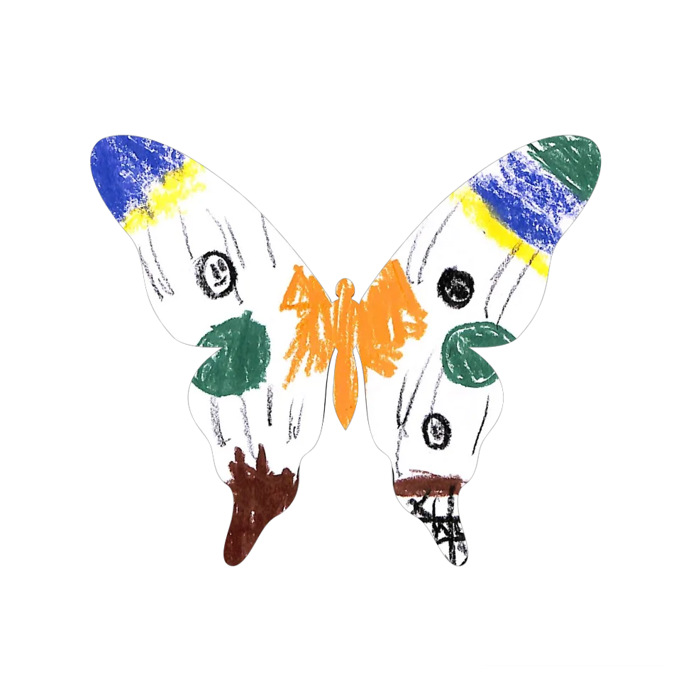 Original Butterfly Image