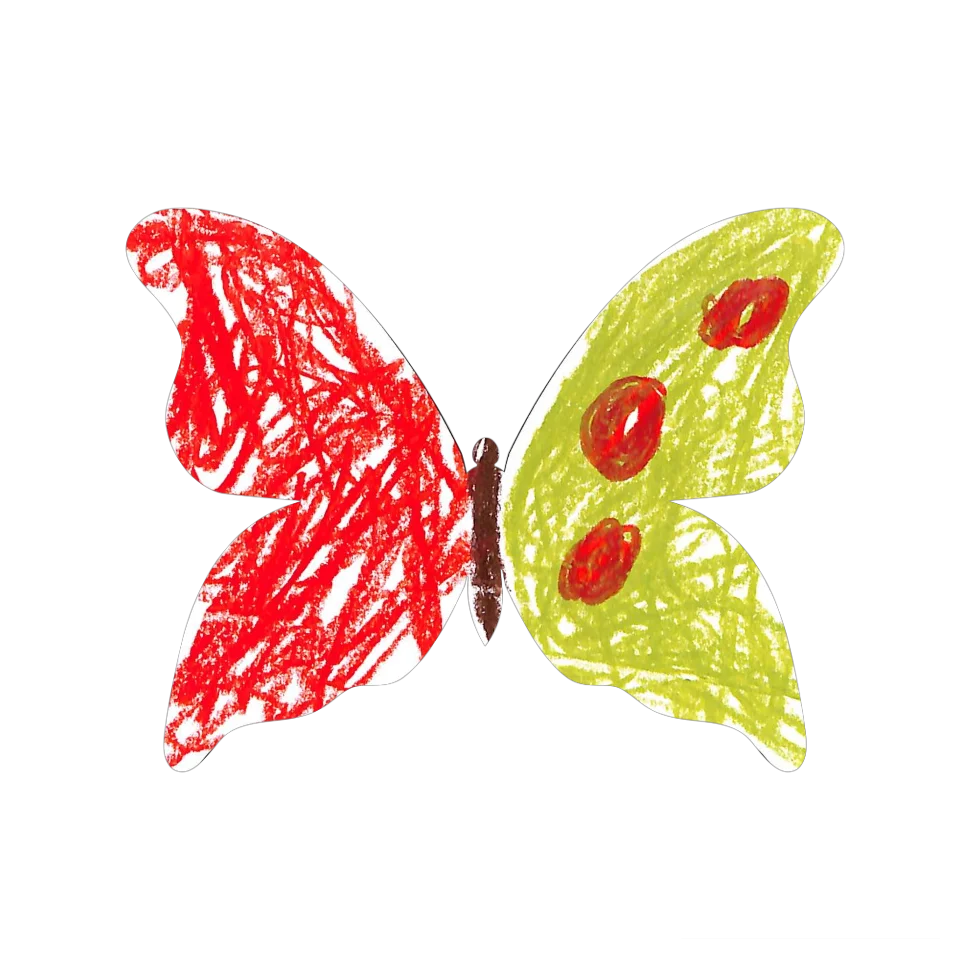Original Butterfly Image