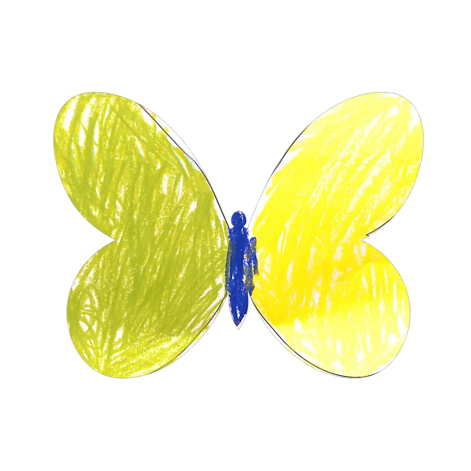 Original Butterfly Image