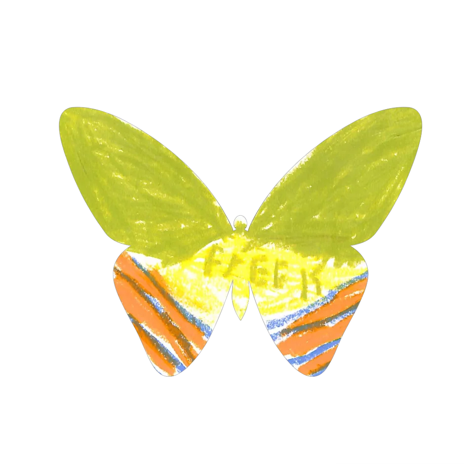 Original Butterfly Image