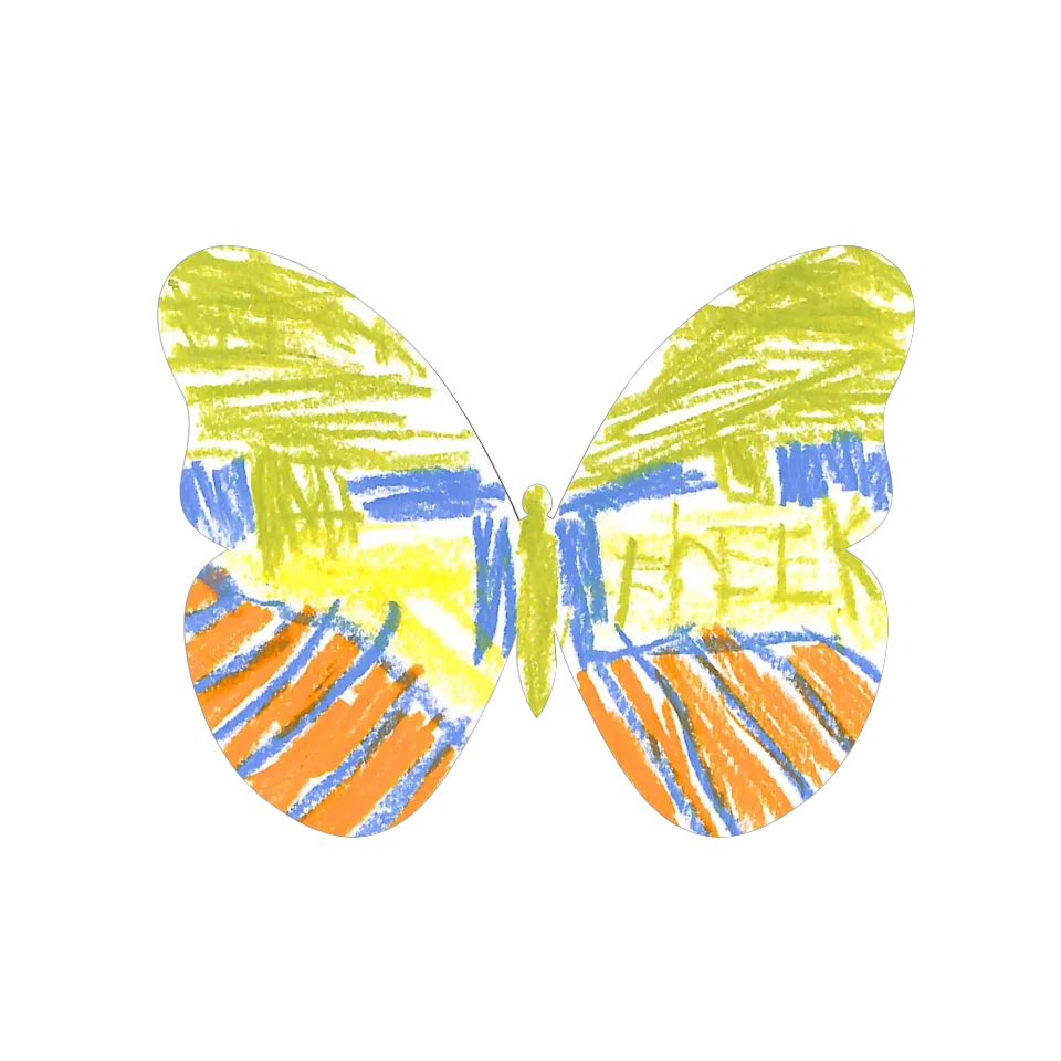 Original Butterfly Image