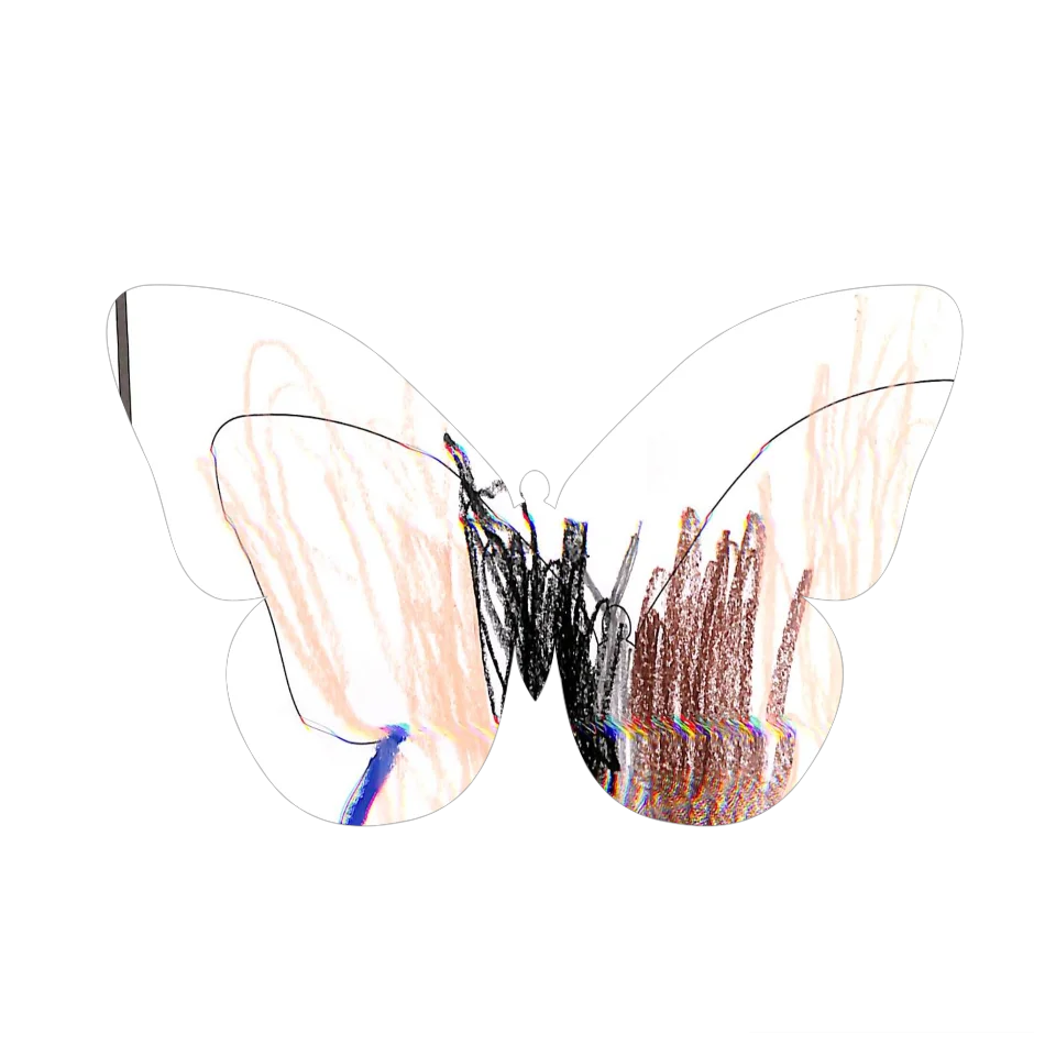 Original Butterfly Image