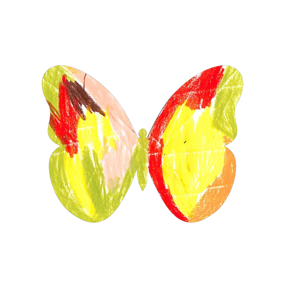 Original Butterfly Image