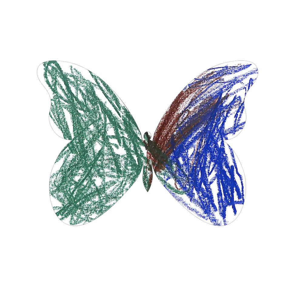 Original Butterfly Image