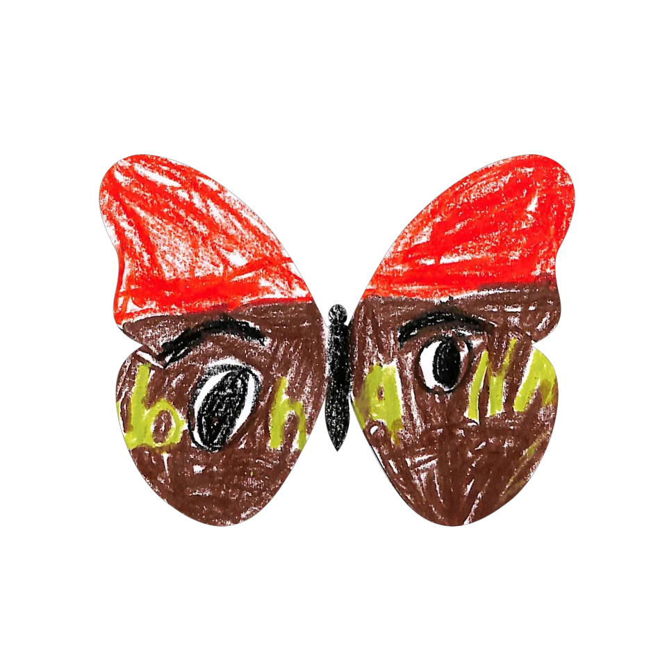 Original Butterfly Image