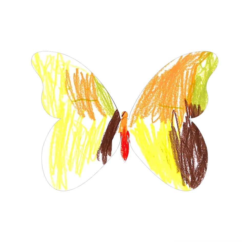 Original Butterfly Image