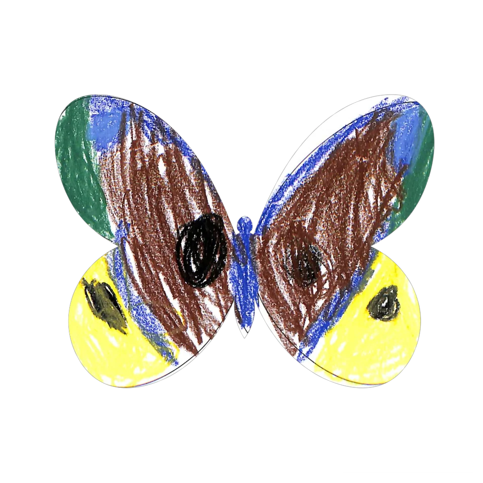 Original Butterfly Image