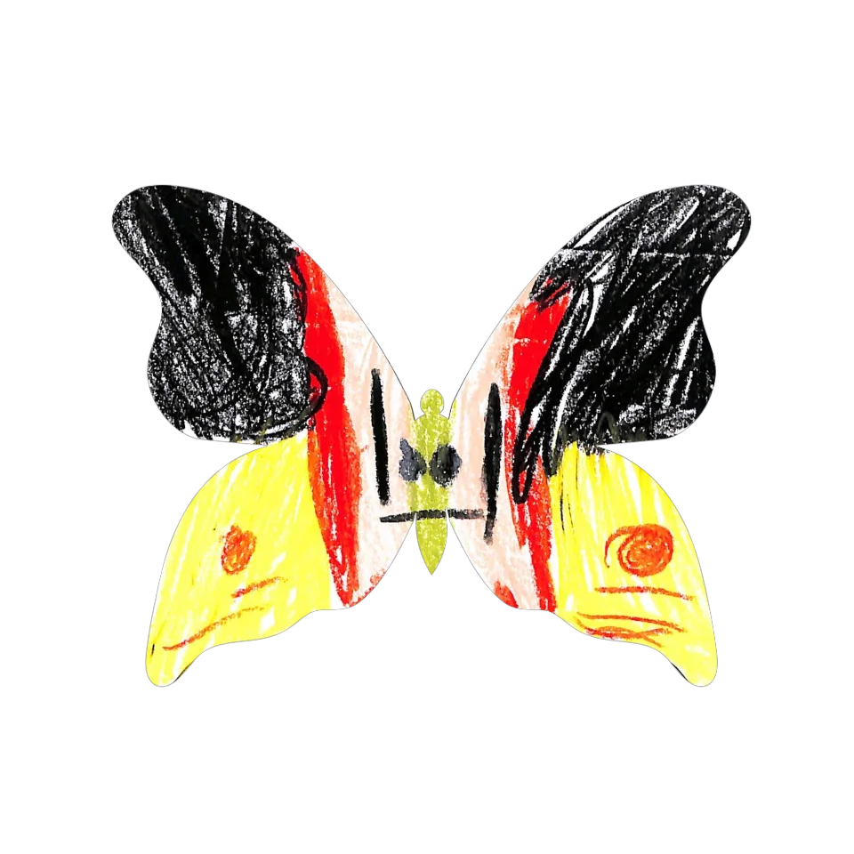Original Butterfly Image