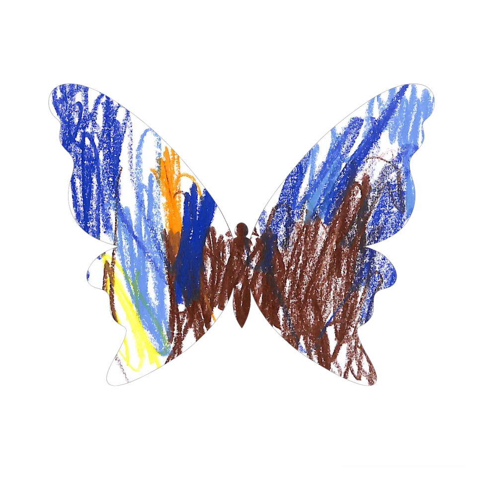 Original Butterfly Image