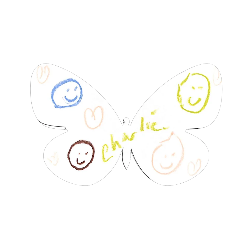 Original Butterfly Image