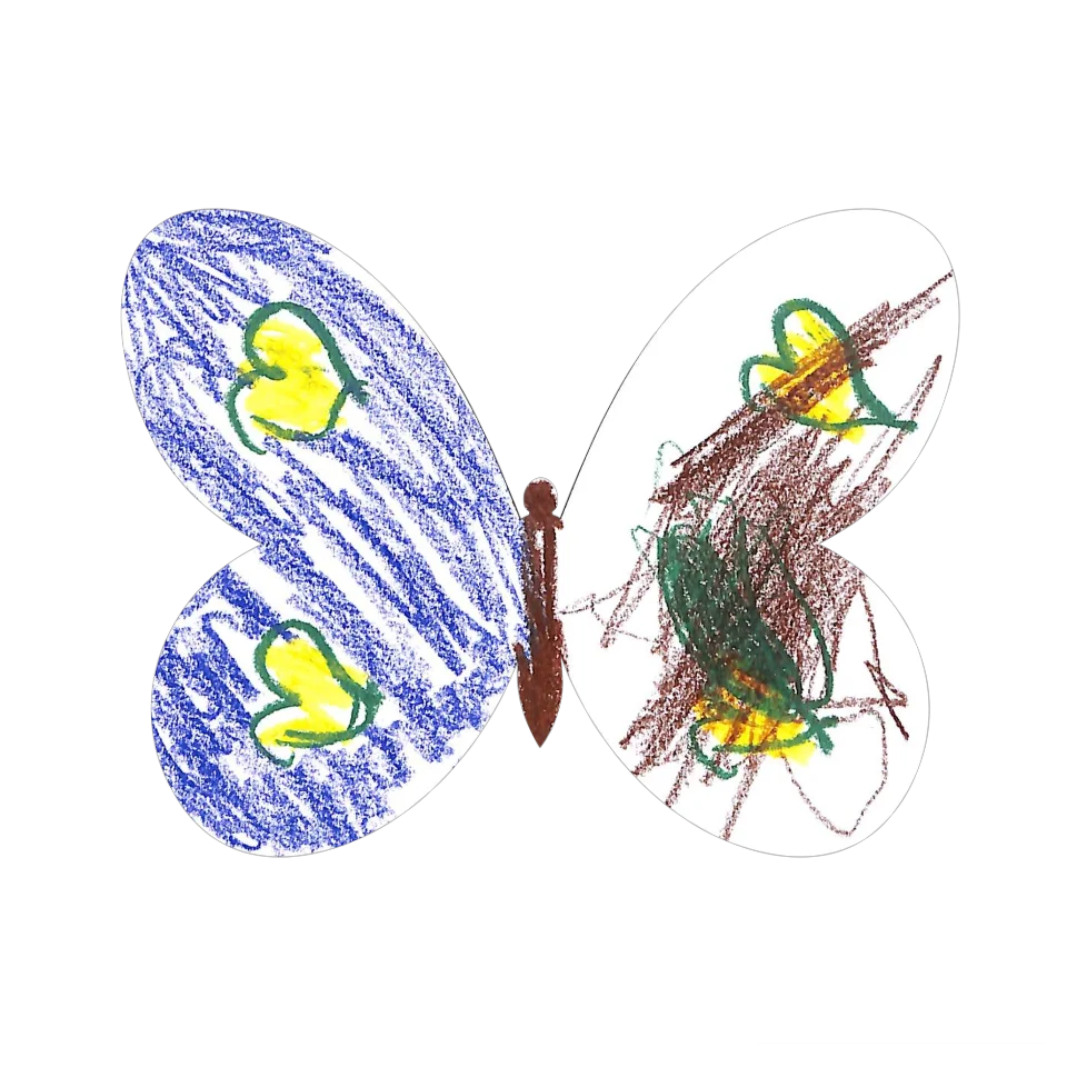 Original Butterfly Image
