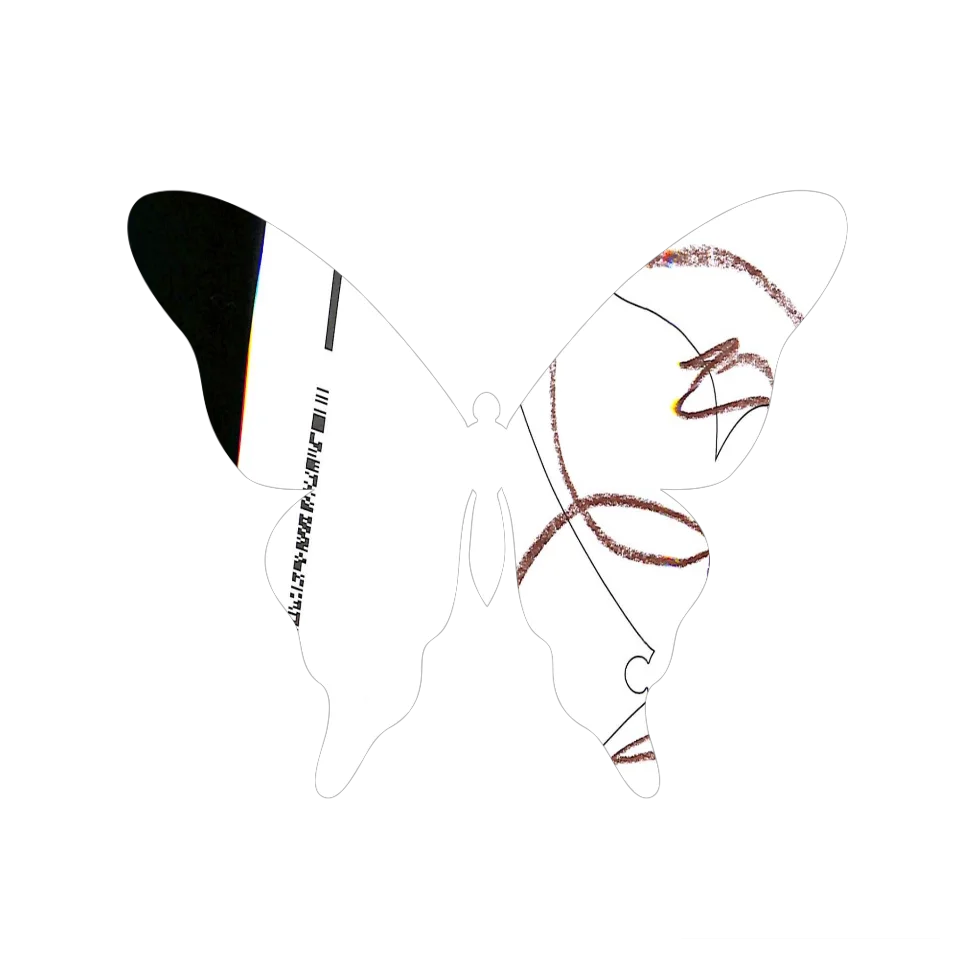 Original Butterfly Image