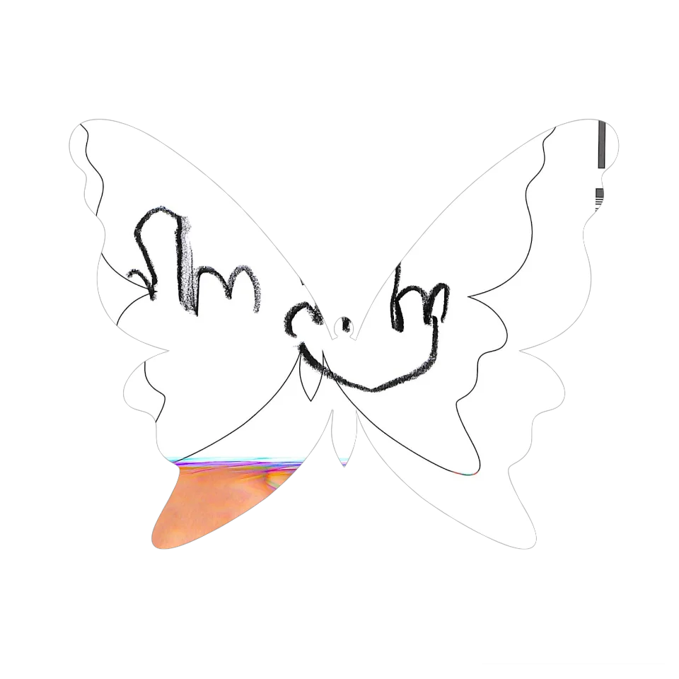Original Butterfly Image