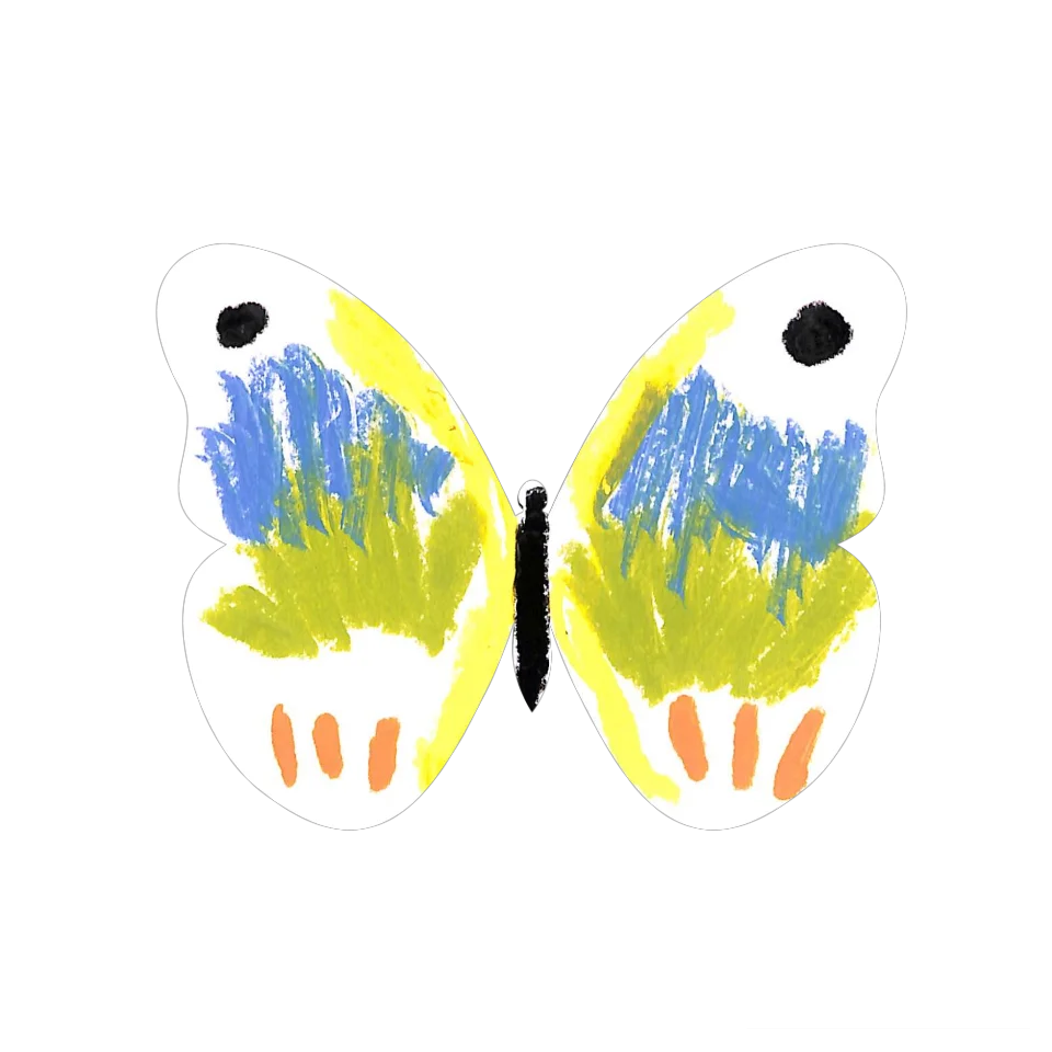 Original Butterfly Image