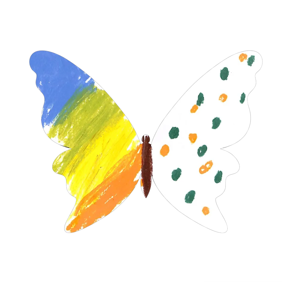 Original Butterfly Image