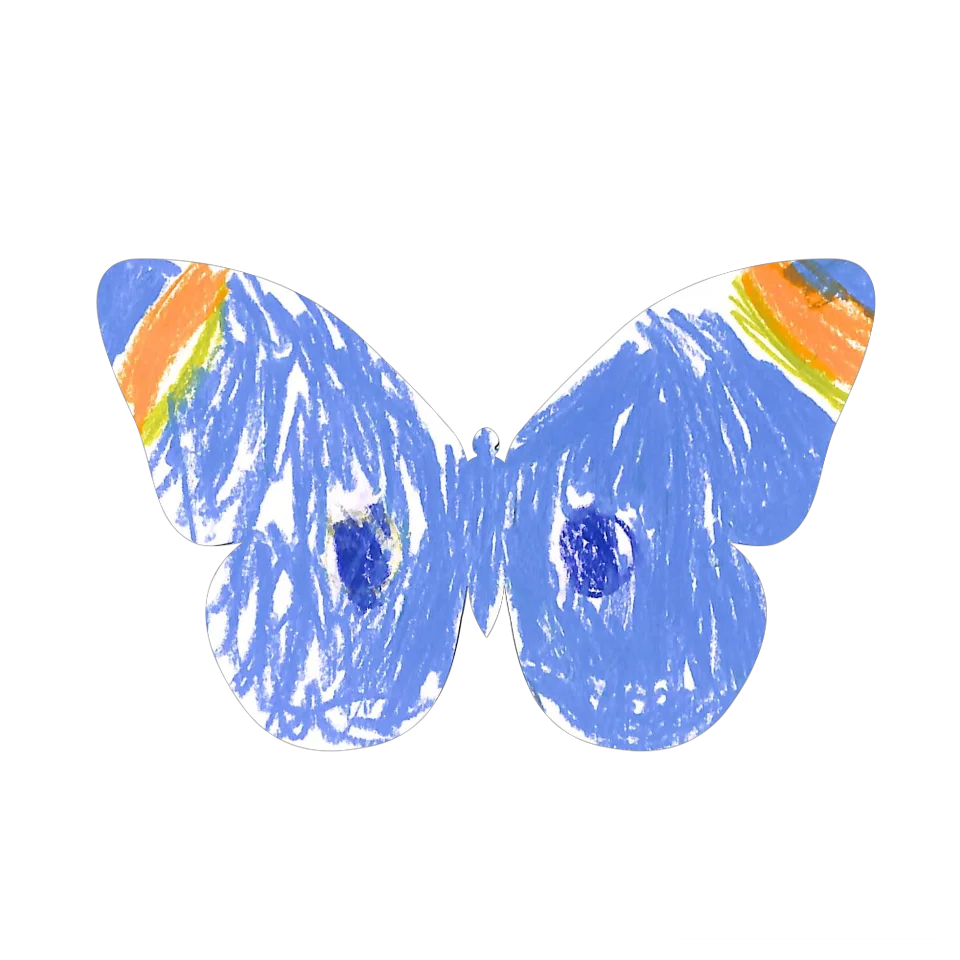 Original Butterfly Image