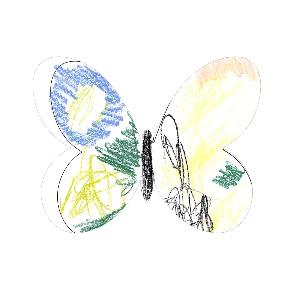Original Butterfly Image