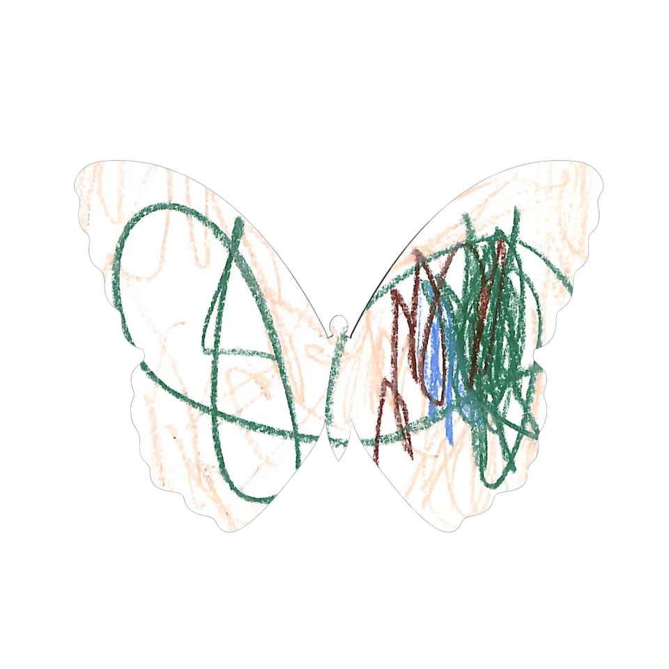 Original Butterfly Image
