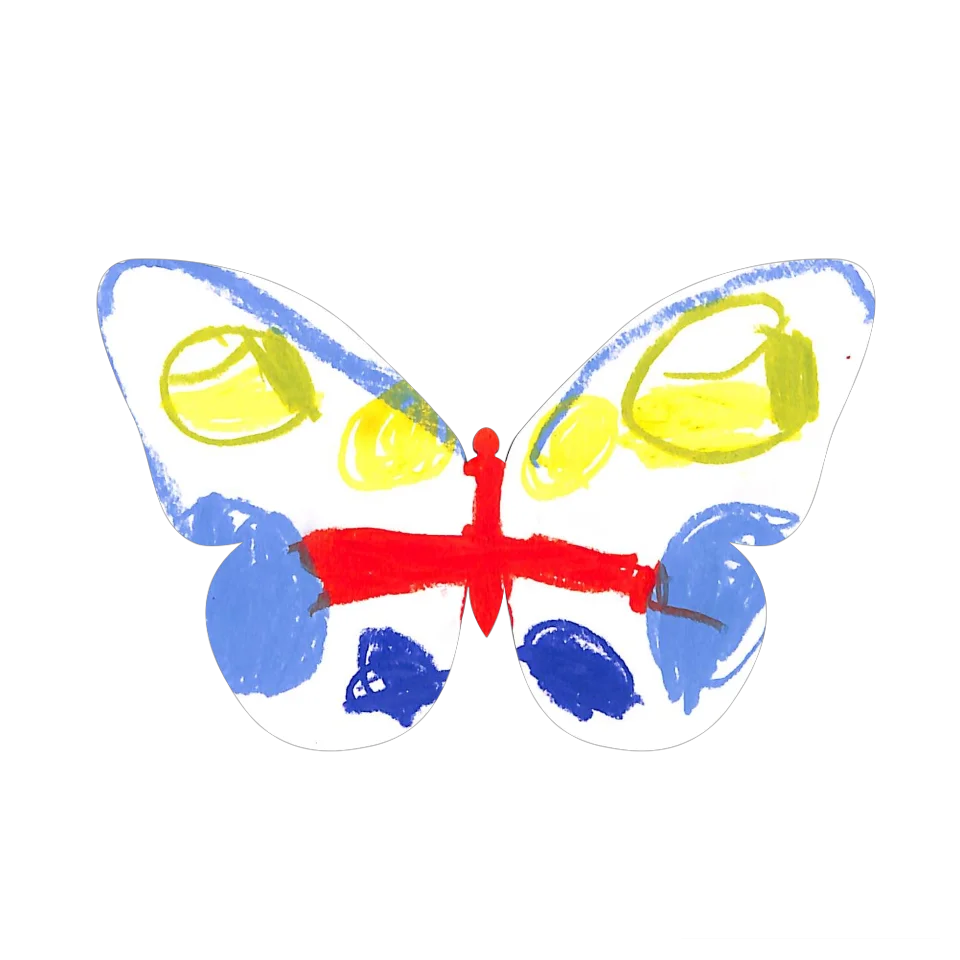 Original Butterfly Image