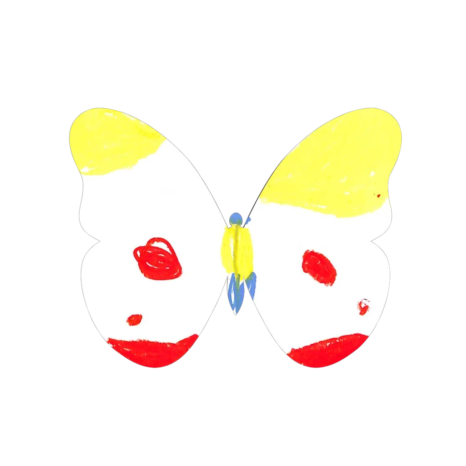 Original Butterfly Image