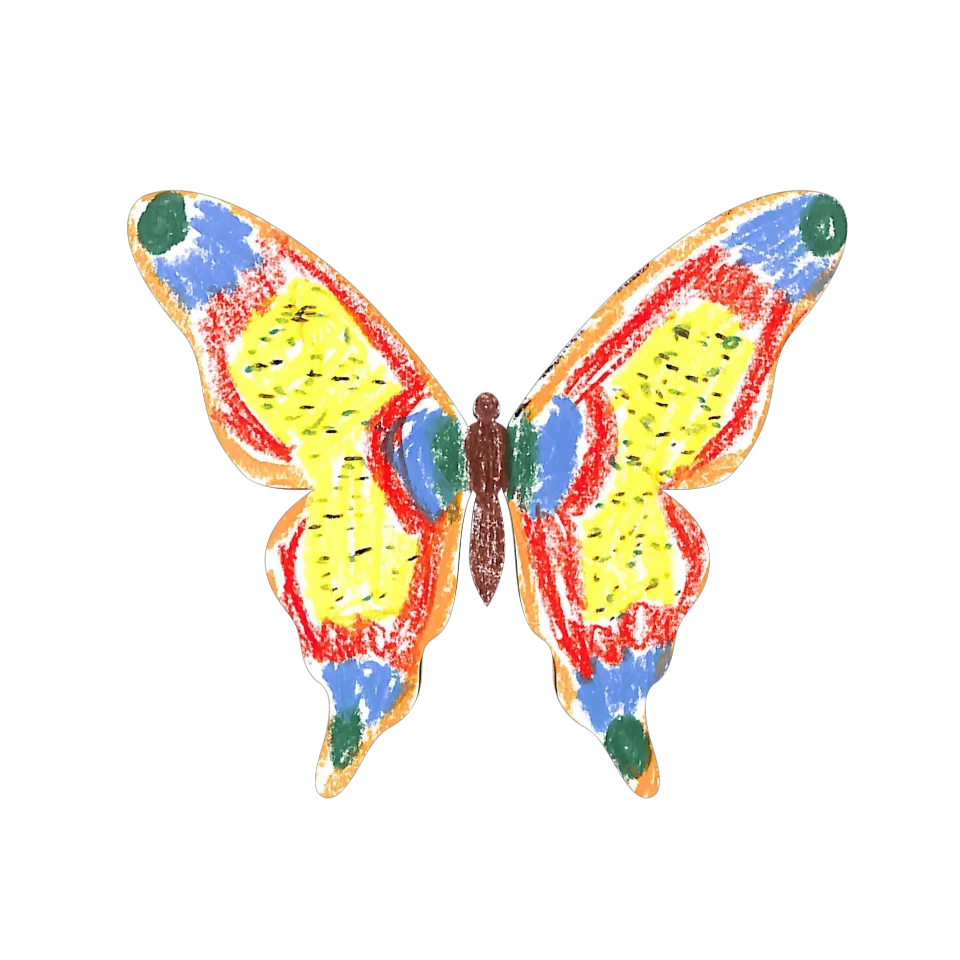 Original Butterfly Image
