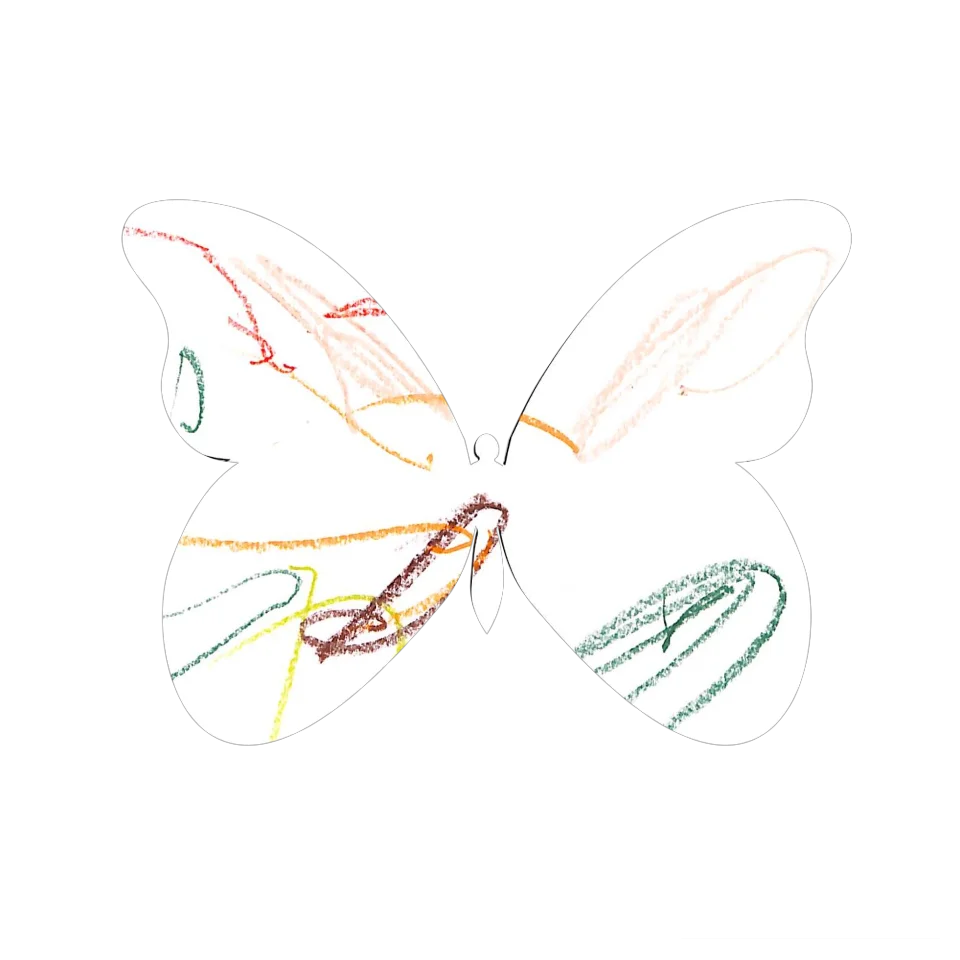Original Butterfly Image