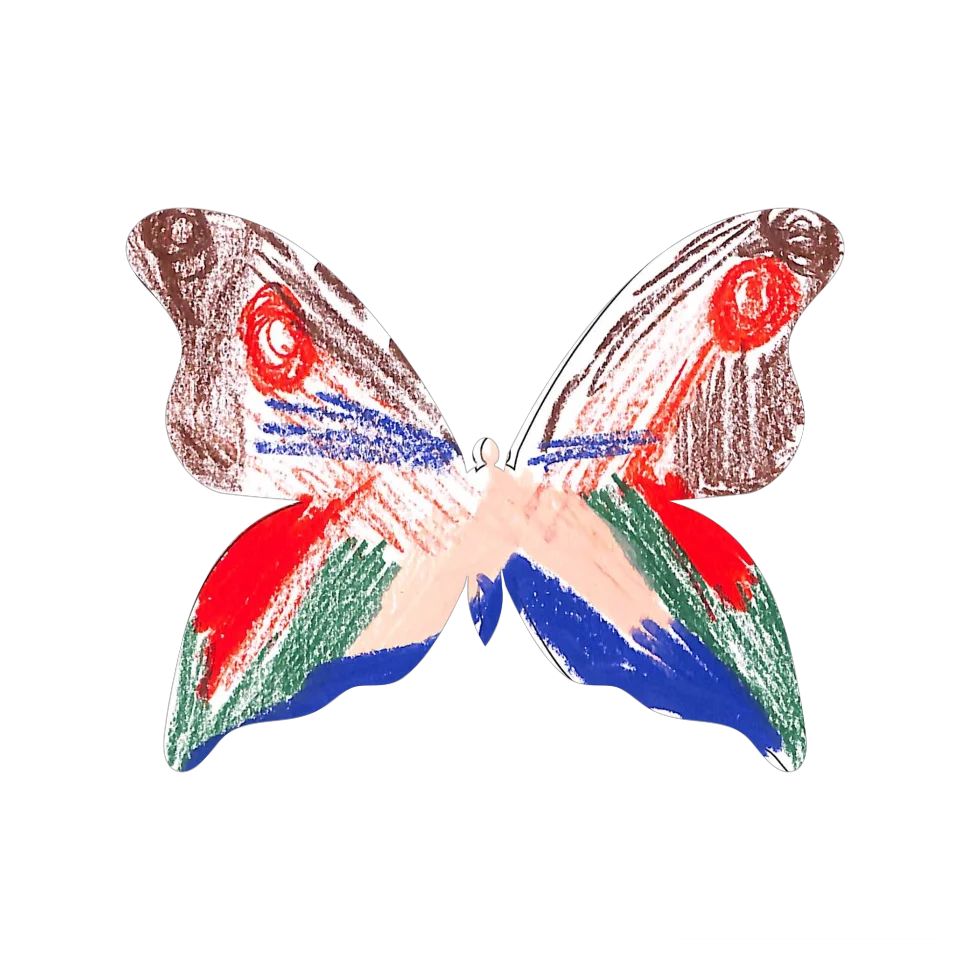 Original Butterfly Image