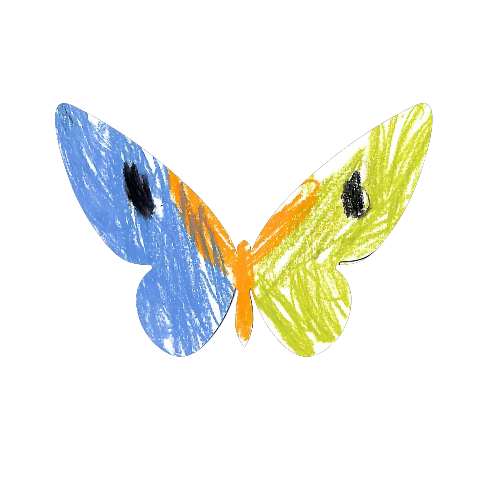 Original Butterfly Image