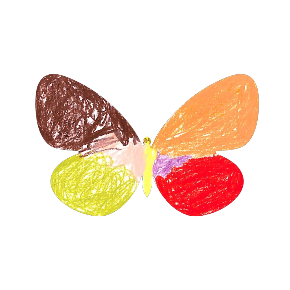Original Butterfly Image