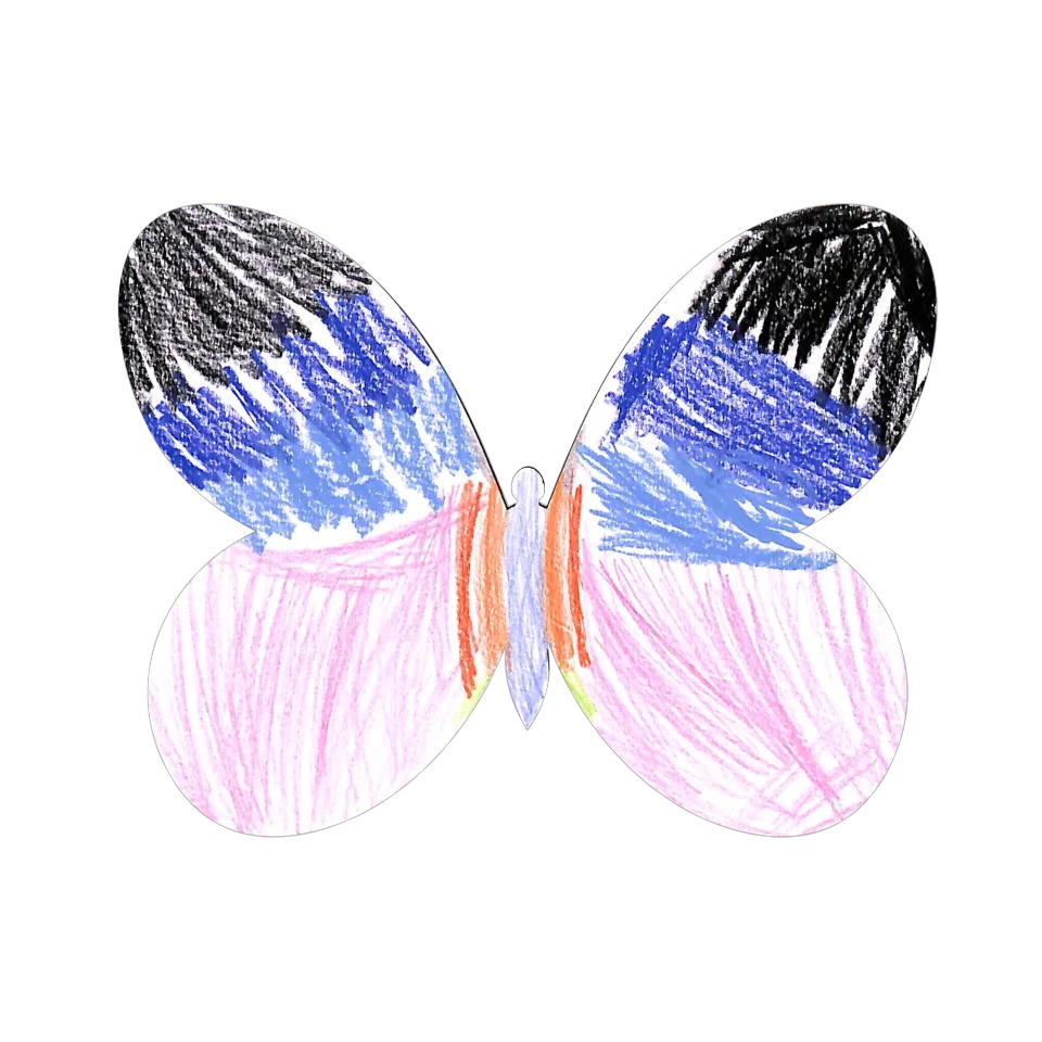 Original Butterfly Image