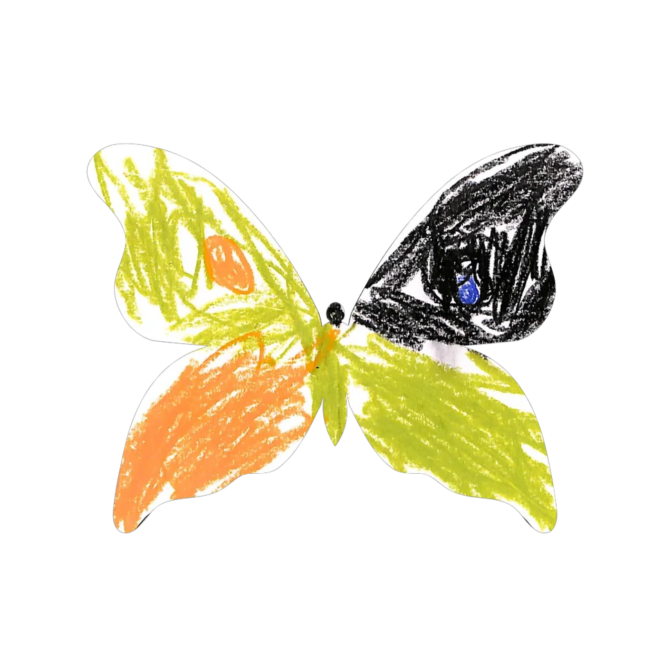 Original Butterfly Image