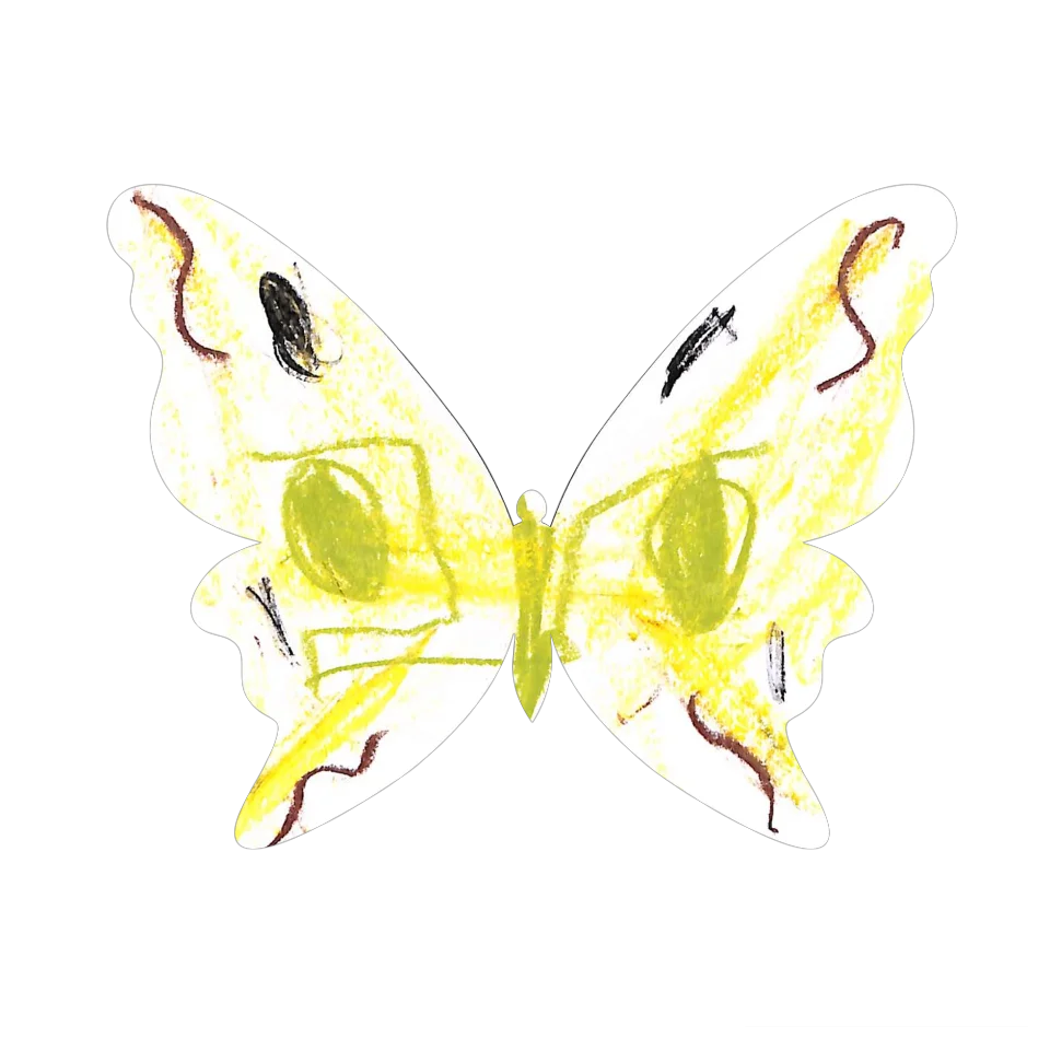 Original Butterfly Image