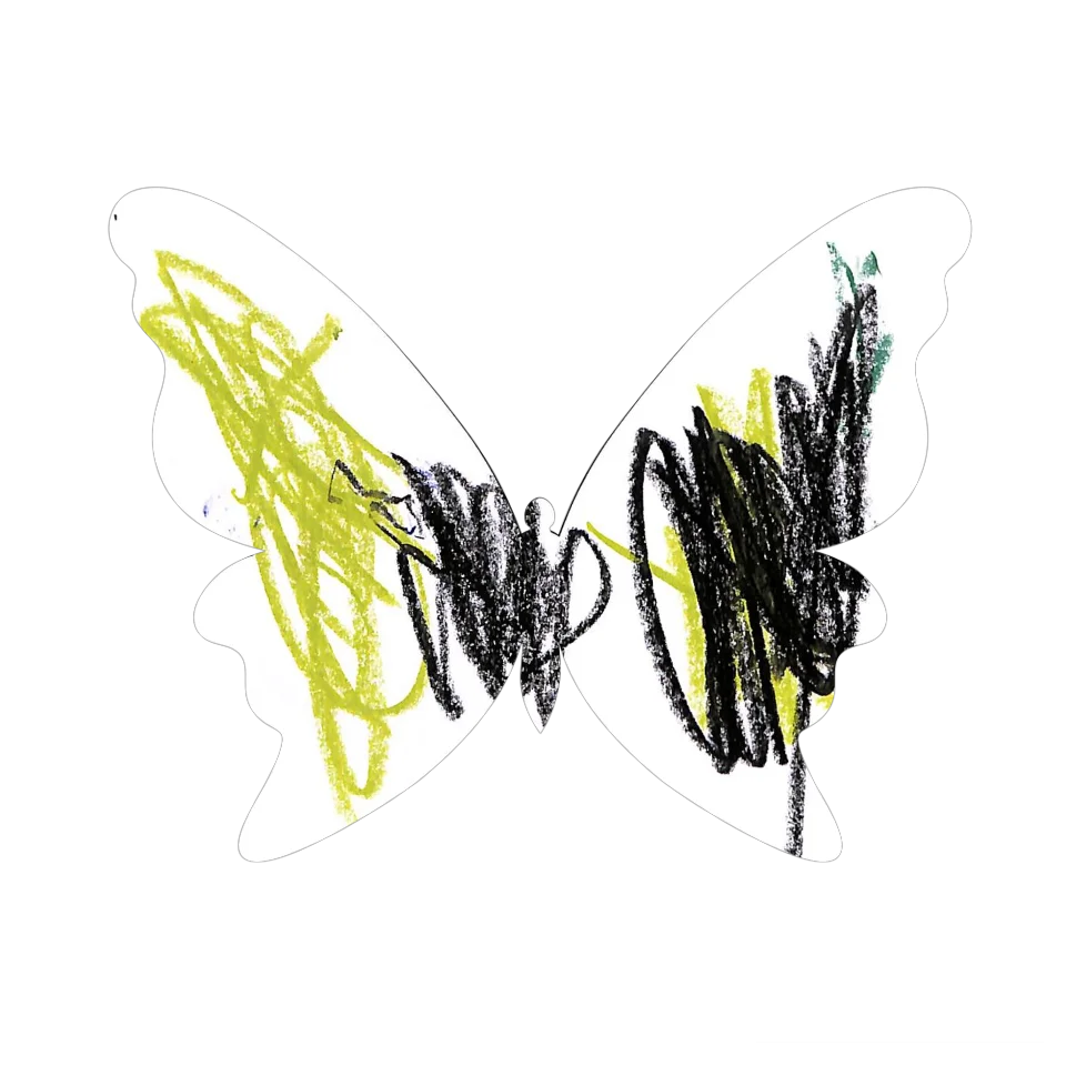 Original Butterfly Image