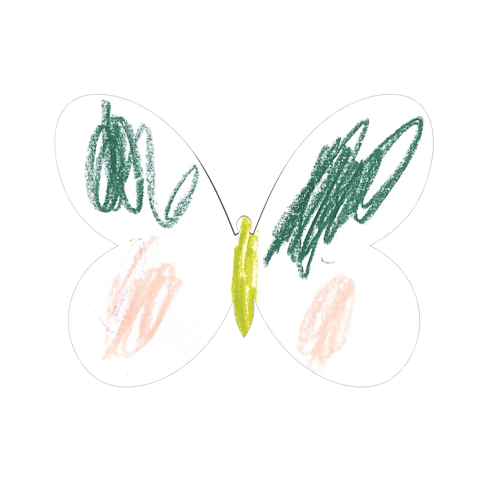 Original Butterfly Image