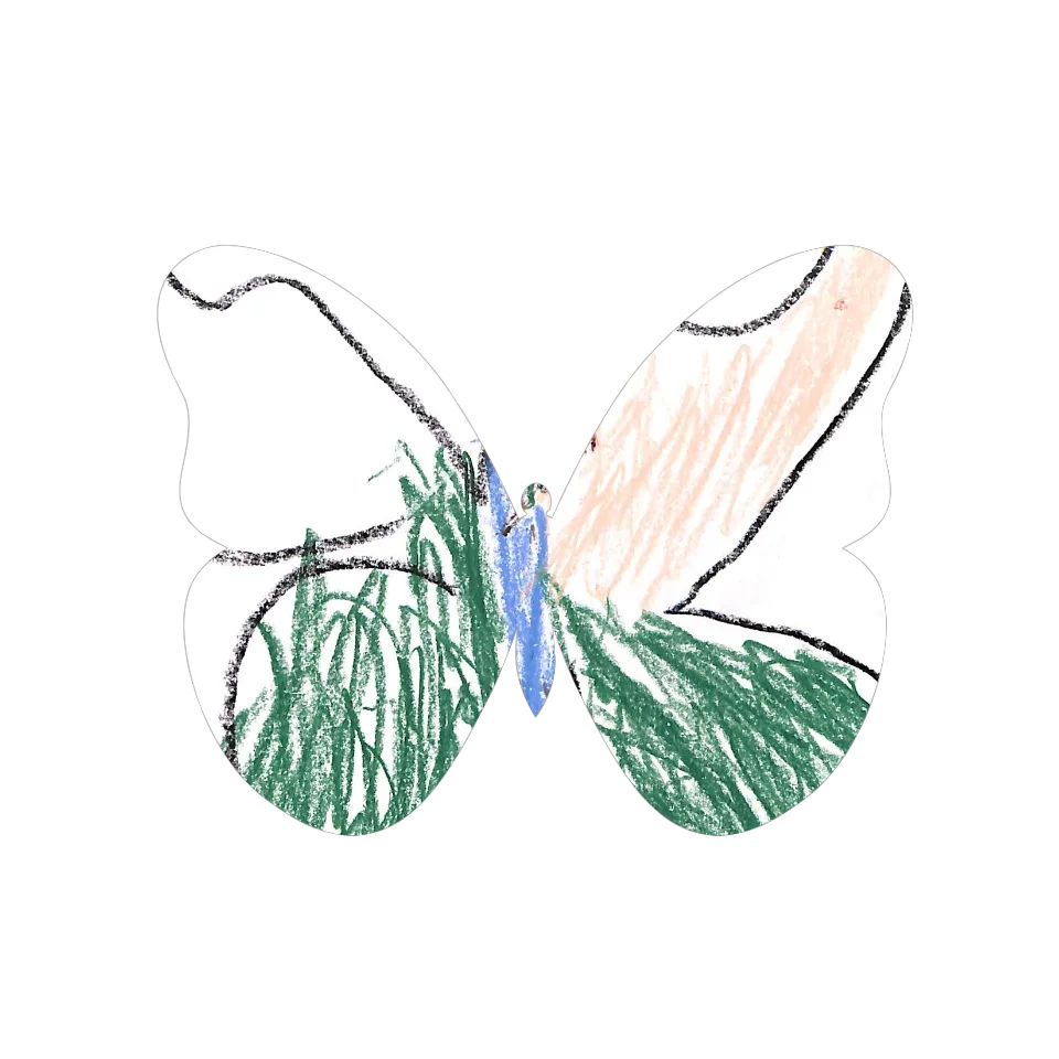 Original Butterfly Image