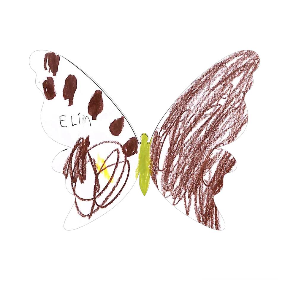Original Butterfly Image
